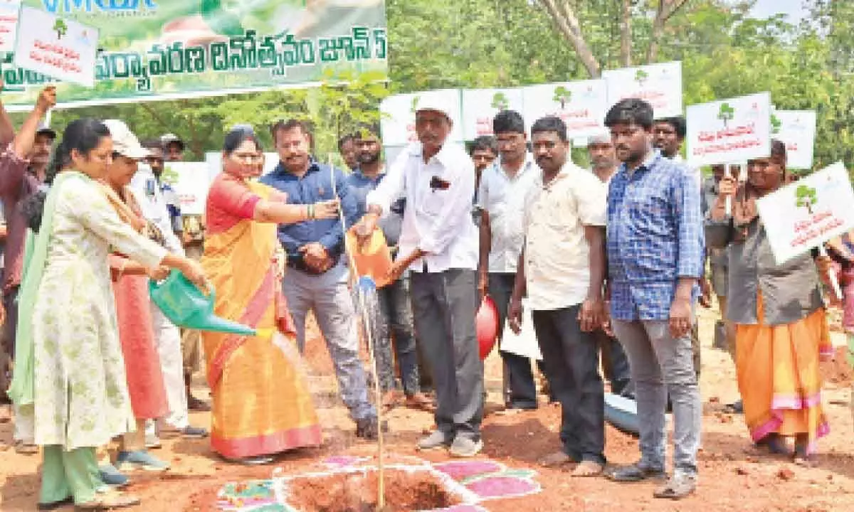 VMRDA Chairperson Akkramani Vijaya Nirmala planting  saplings at Kailasagiri hill in Visakhapatnam on Monday