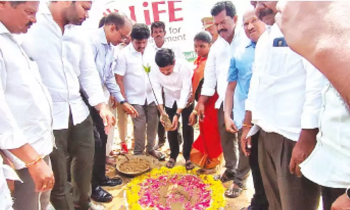 Tirupati MP Dr M Gurumoorthy planting a sapling at Bhimunivaripalem of Sullurpet constituency on Monday.