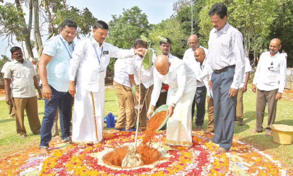 TTD Executive Officer A V Dharma Reddy planting a sapling at the Special Type Cottages area to mark the World Environment Day in Tirumala on Monday