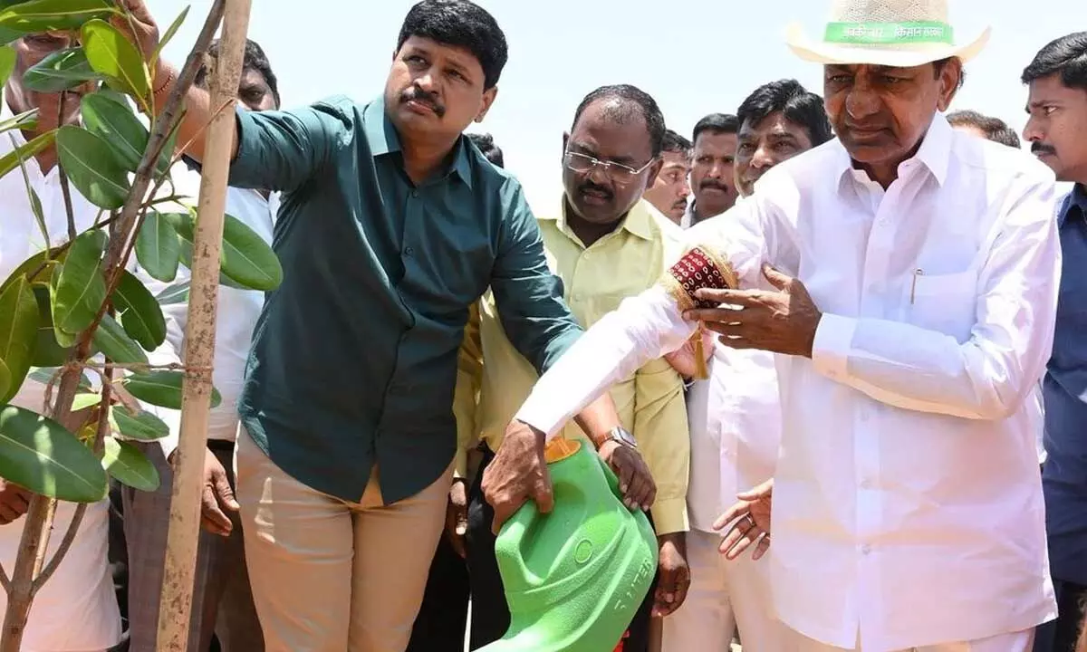 KCR plants sapling under Green India Challenge