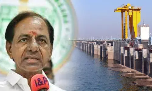 Telangana Government to Celebrate Irrigation Water Day