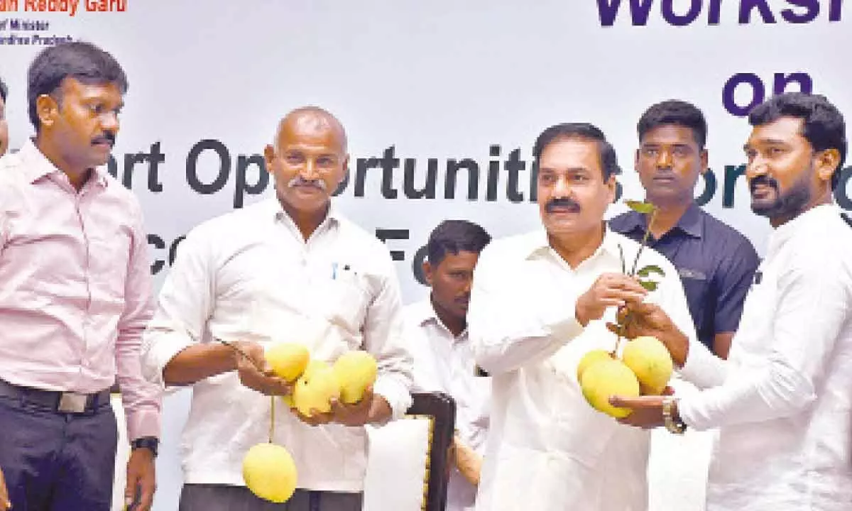 Minister for agriculture Kakani Goverdhan Reddy holds a bunch of mangoes brought by farmers at a workshop on export opportunities for agricultural, horticultural and processed food products in Vijayawada on Tuesday