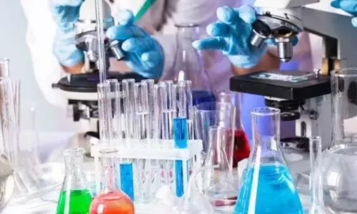 Worm genetics reveals key pathways for sleep regulation: Study