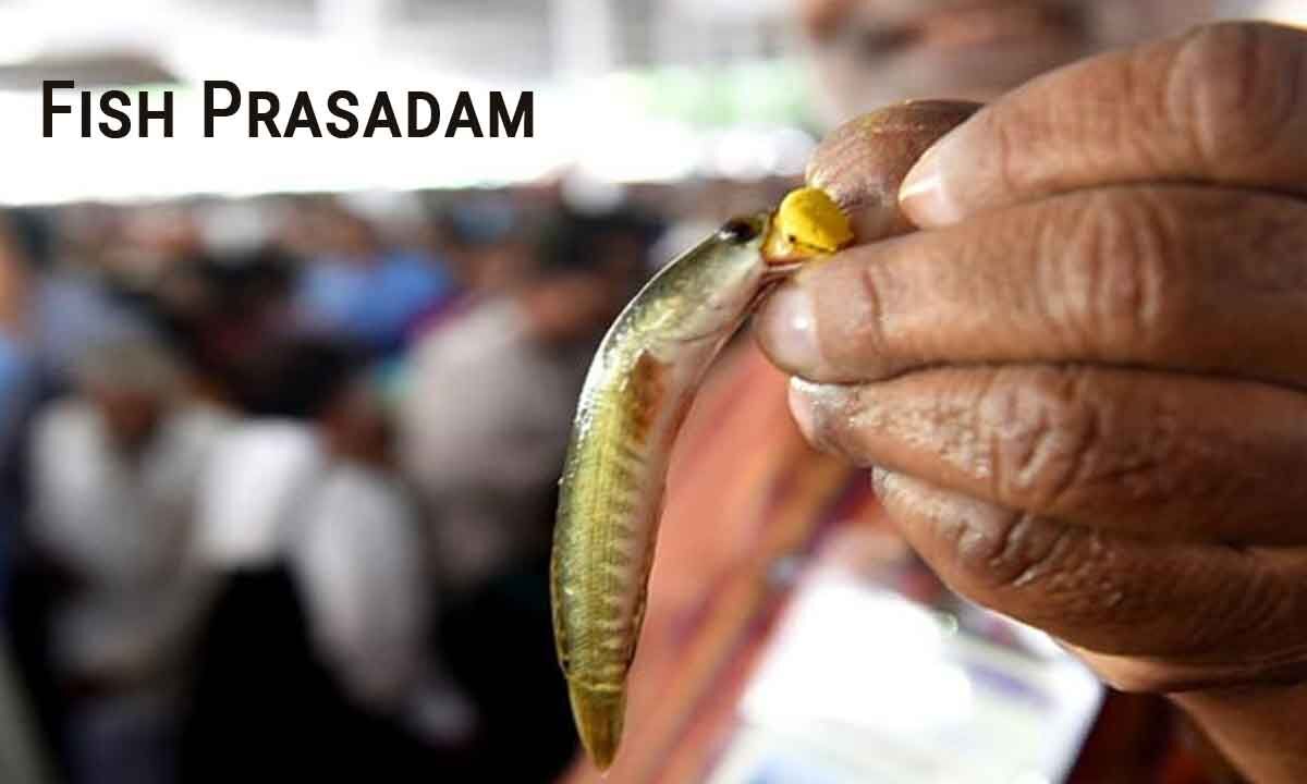 Hyderabad Fish Prasadam to asthma patients tomorrow