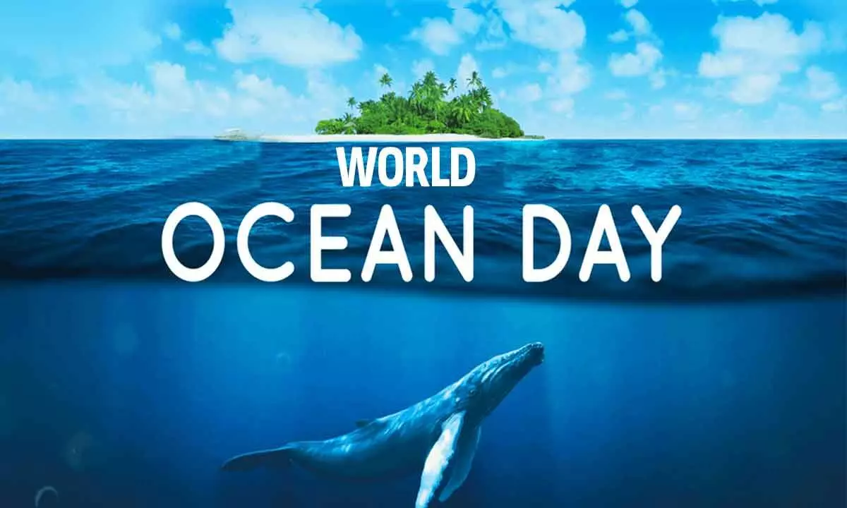 World Ocean Day: History, theme and how to celebrate