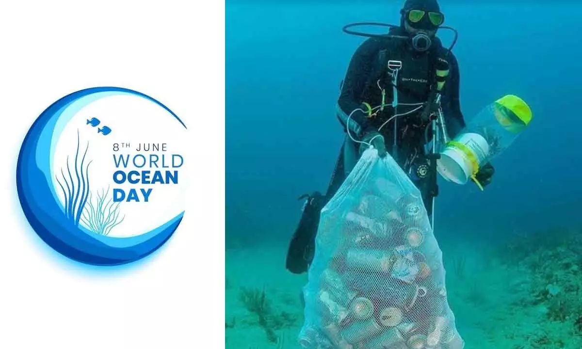 World Oceans Day: Here’s What You Can Do To Keep The Ocean Clean