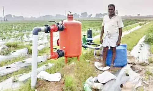 Drip irrigation equipment installed in a field