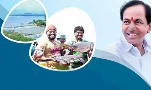 Telangana decennial celebrations: KCR turned the face of the ponds in ten years, says KTR