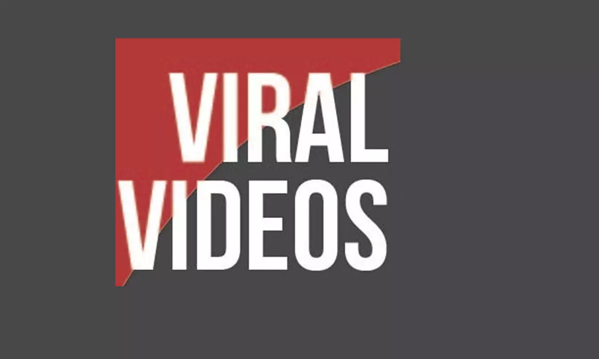 Viral Video, 3D Image & Photo (Free Trial) | Bigstock