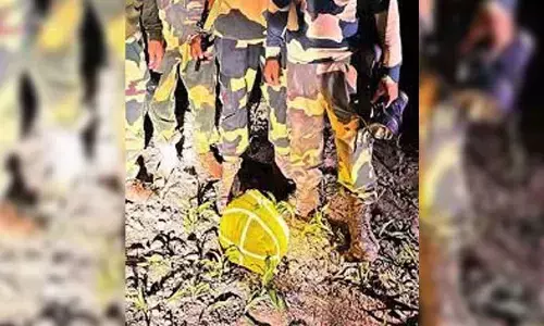 BSF Confiscates 5 Kg Of Drugs Dropped By A Drone In Amritsar Sector