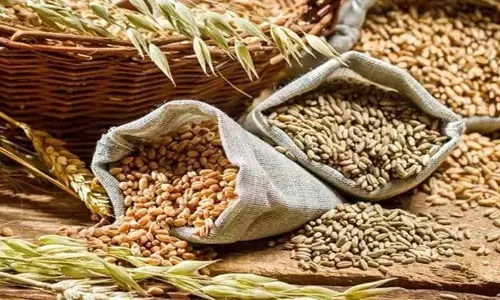 India Achieves Record growth in food production