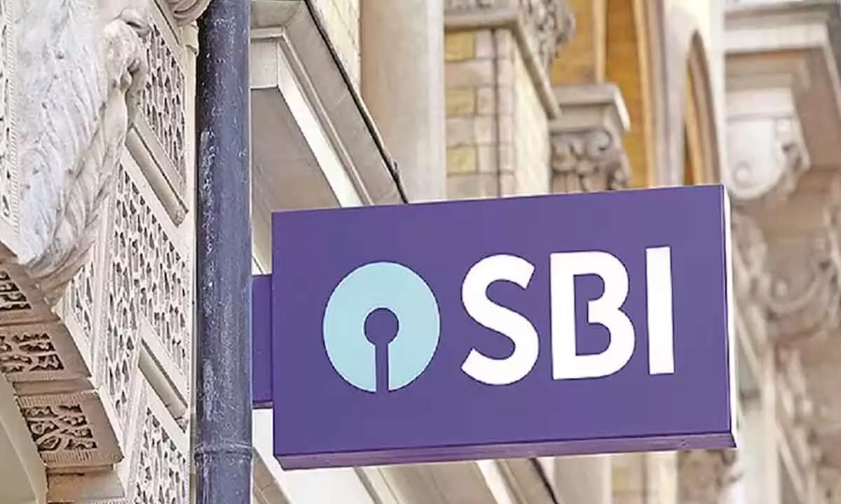 SBI to raise Rs 50k cr in FY24