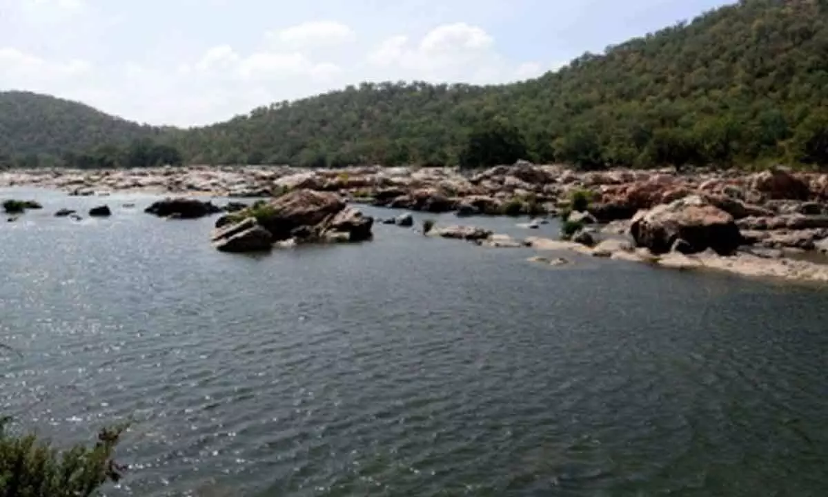 Cauvery Tribunal unlikely to take up Makedatu Dam issue