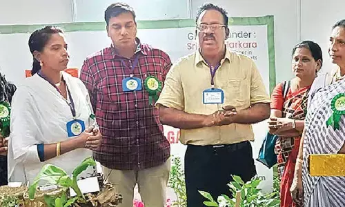 Raising gardens turns a new passion in urban areas