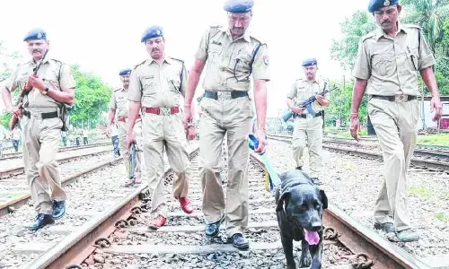 Stop using police dogs for VIP events: Canine experts