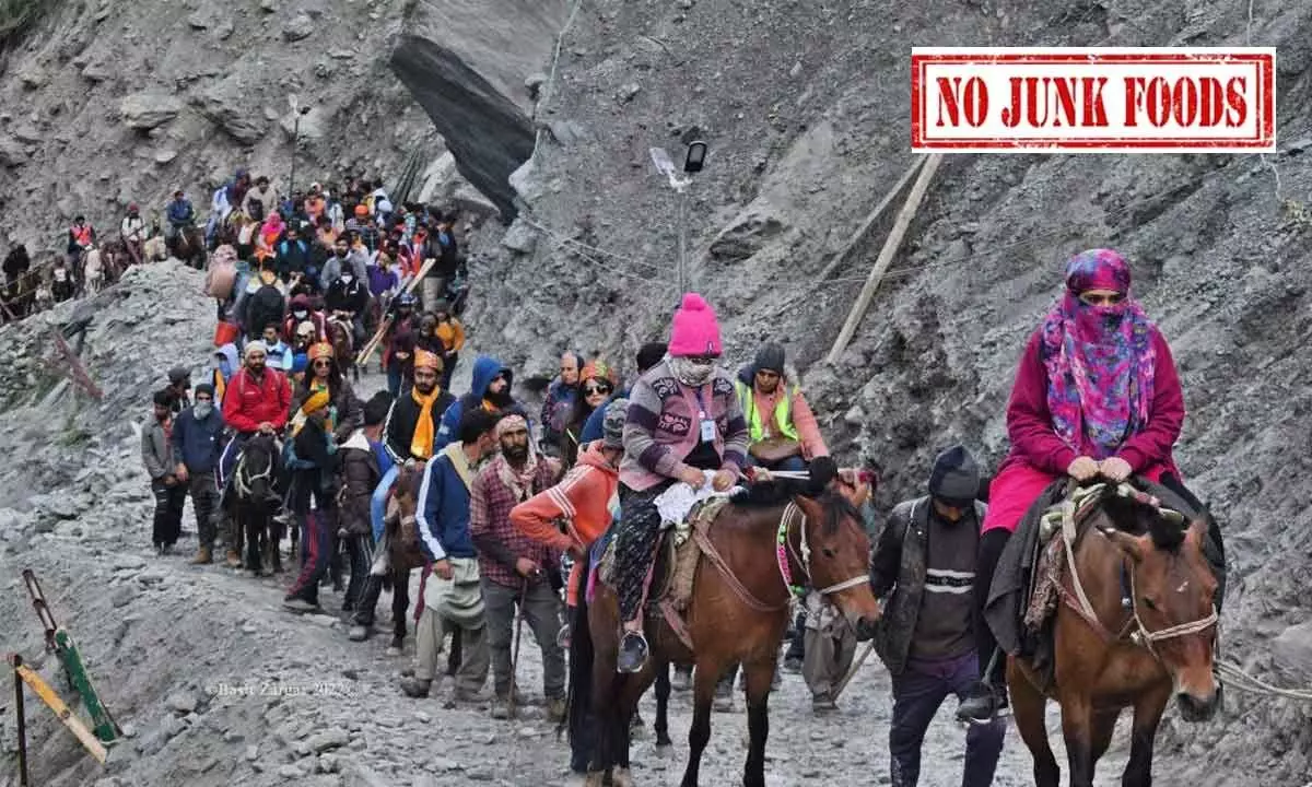 No Junk Food permitted during Amarnath Yatra