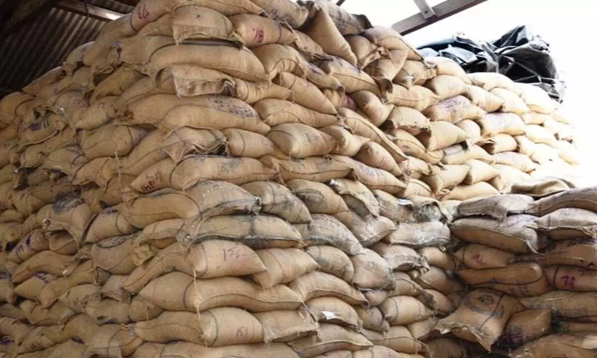 Seeds stored at seeds corporation premises to supply at RBKs across the district