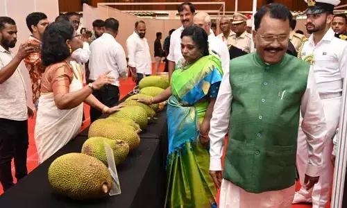 Jackfruit festival organised by Raj Bhavan