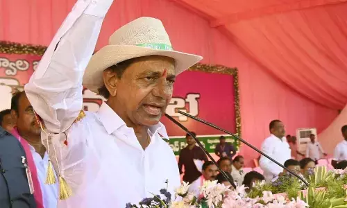 Teach a befitting lesson to Dharani critics: KCR