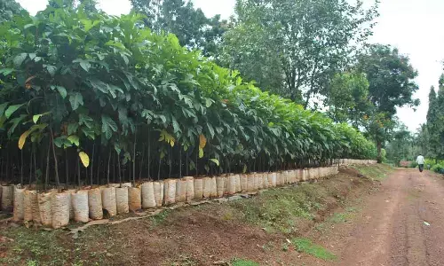 Coast ready to green western Ghats region