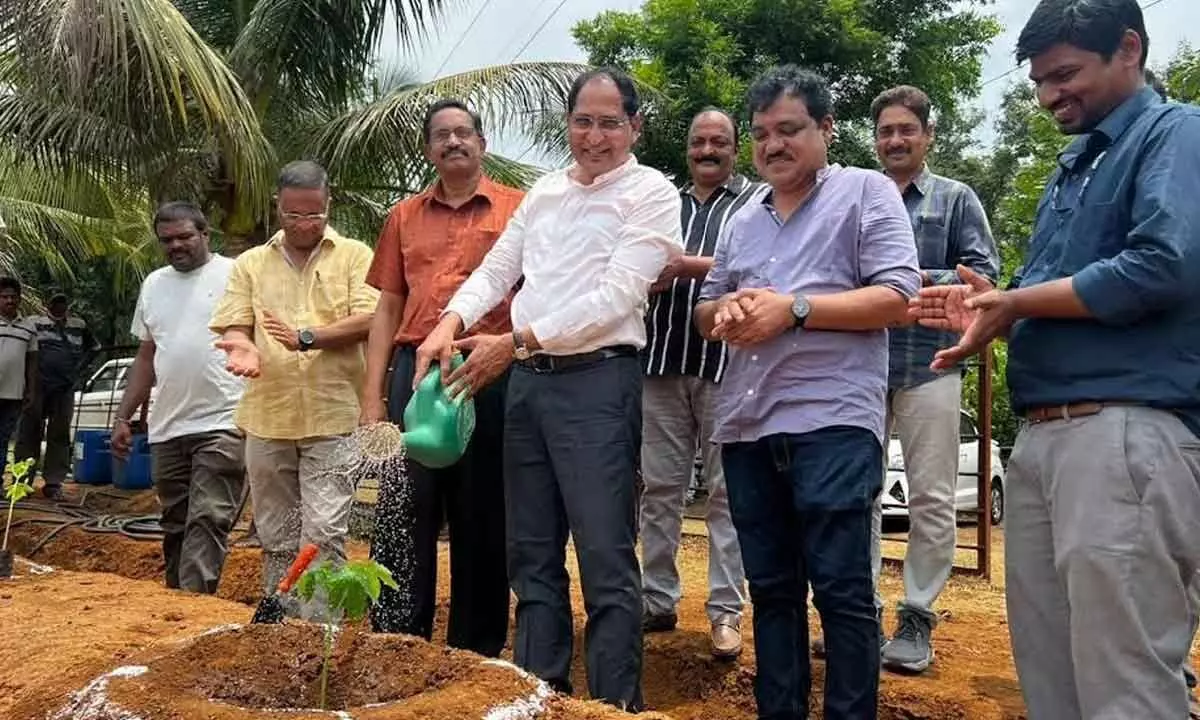 CGM (HR), RINL G Gandhi along with other officials launching a papaya plantation drive in Visakhapatnam on Tuesday