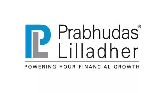 PL Report - India Strategy - On a roll, but hiccups likely