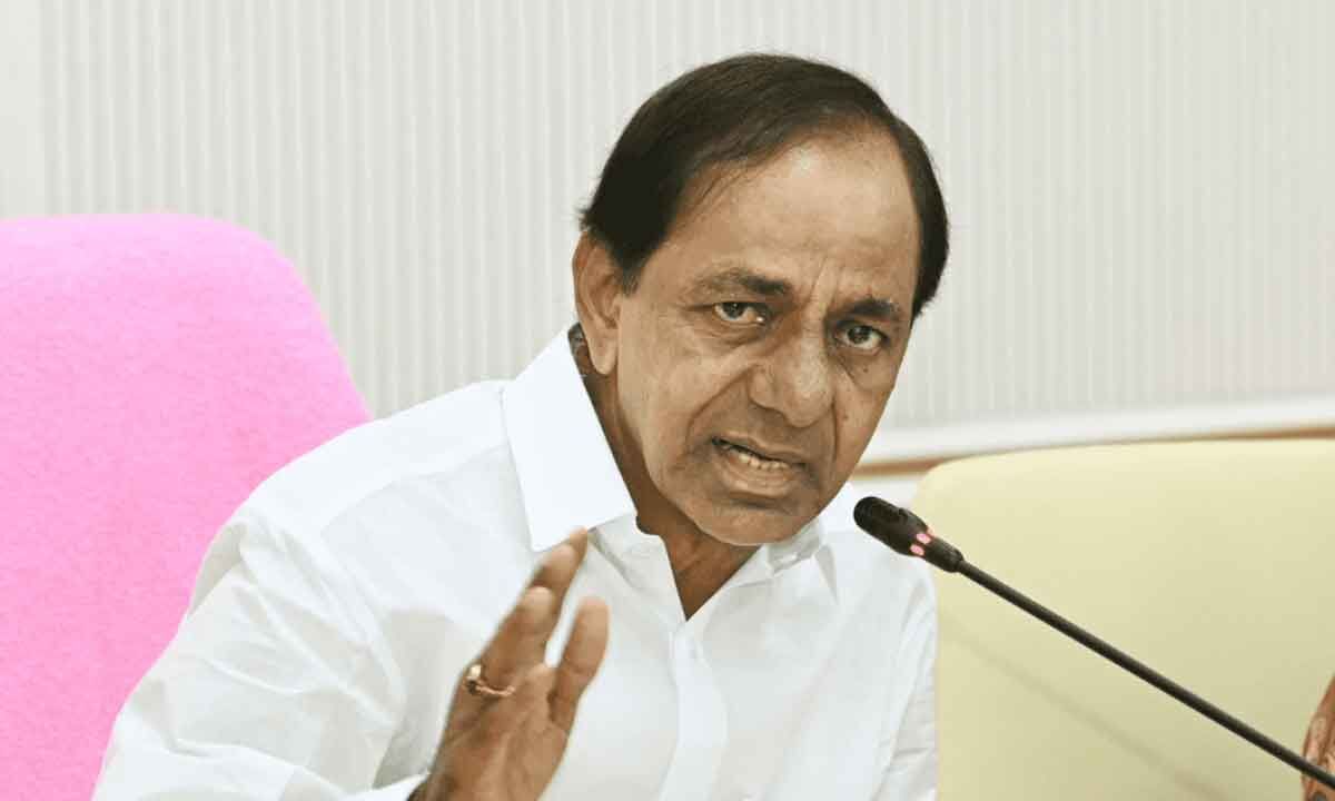 Telangana government to set up food process industries in districts soon