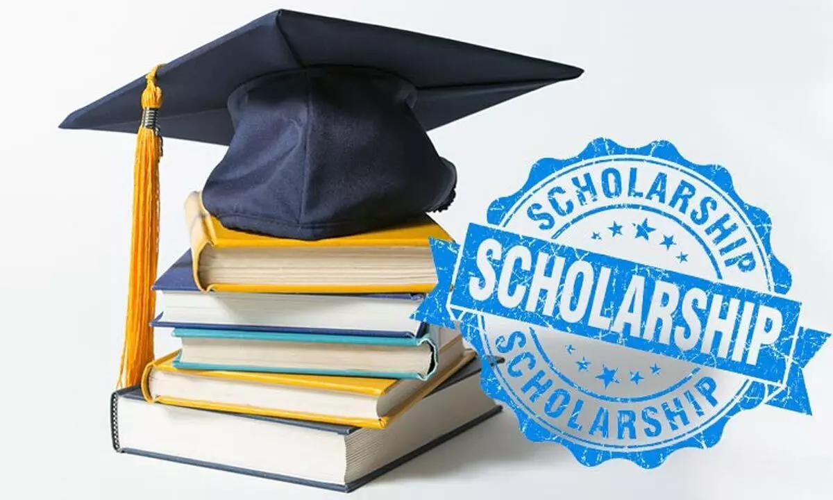 Check Out Scholarships for students