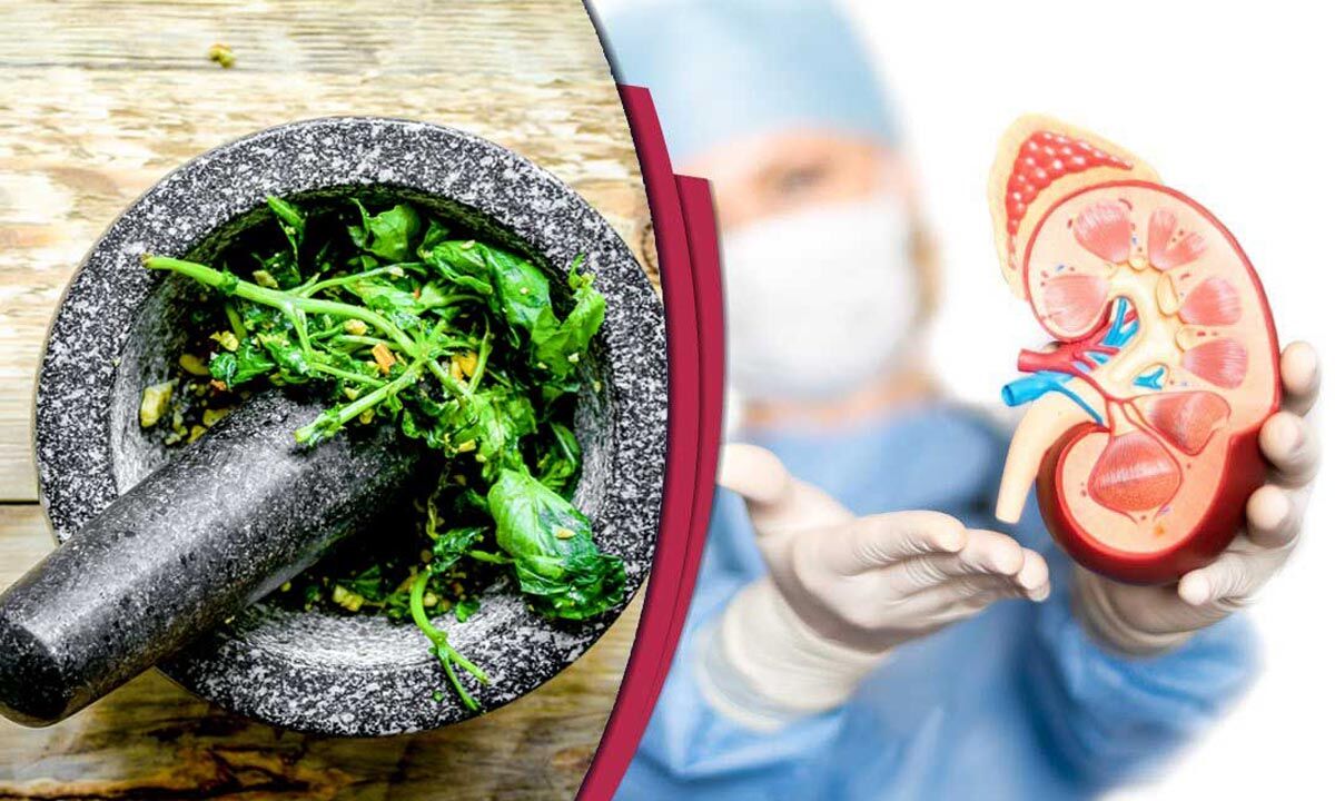 Ayurveda tips to keep your kidneys healthy & strengthen renal system