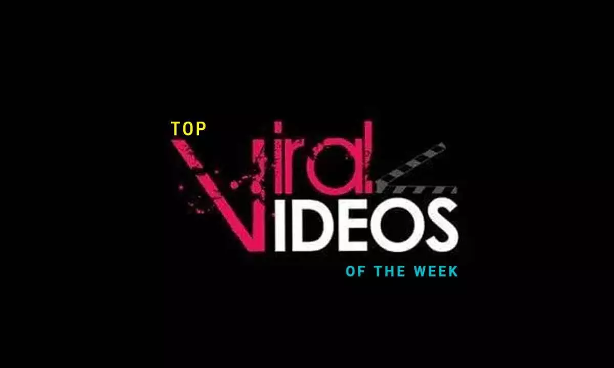 Top Viral Videos Of The Week (10 June - 16 June)