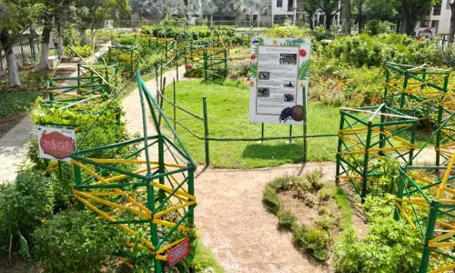 Jharsuguda: Butterfly Park set up by Vedanta Aluminium