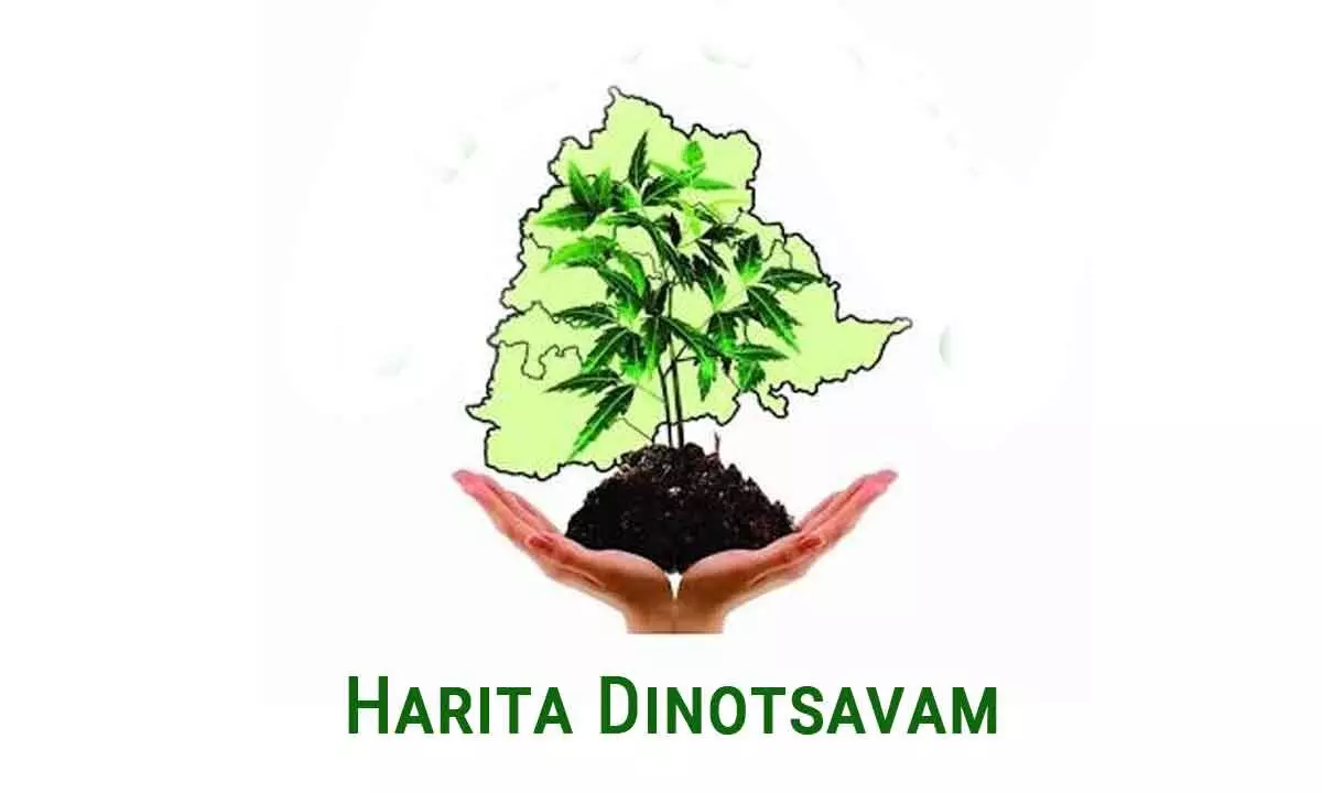 TS dist Collectors asked to focus on Haritha Dinotsavam