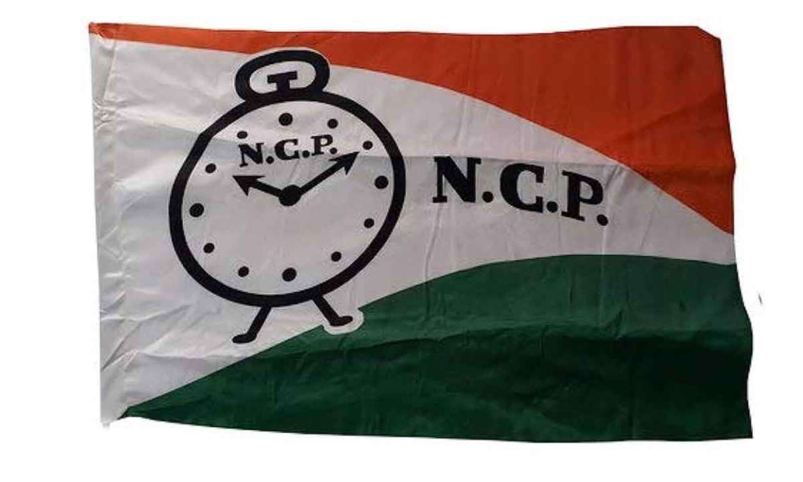 Buy NCP Party Flag at Affordable Prices, Printed Nylon Flags for  Advertising and Promotion
