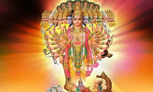 Social Consciousness: The Cosmos as One Being