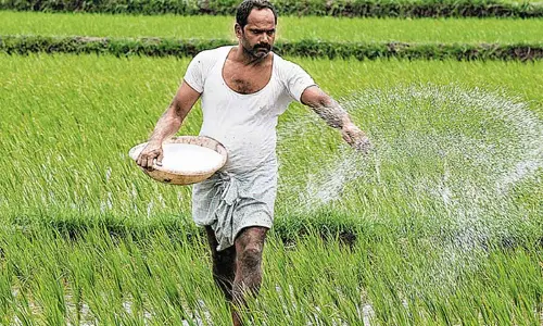 Government mulls novel plant nutrients to cut fertiliser subsidy