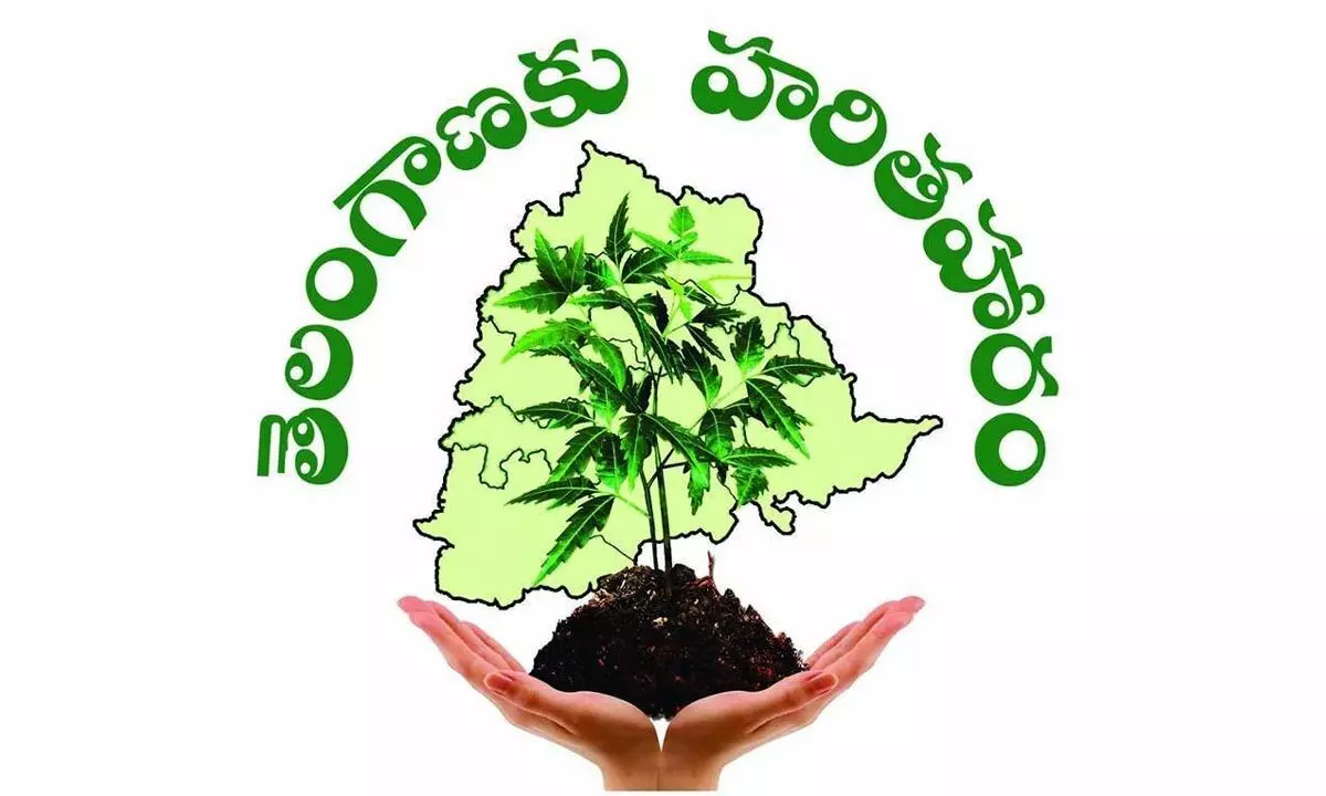 Decennial Celebrations of Telangana state Formation Day. Haritha Haram completes 10 years