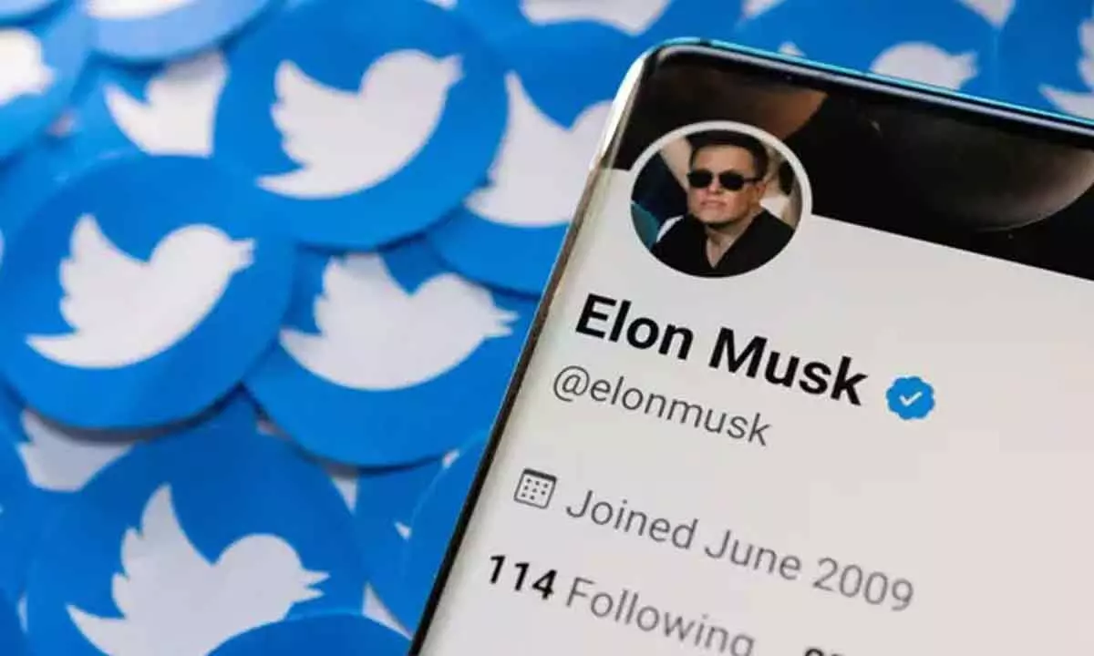 Elon Musks Twitter Now Features An Instagram-Like Feature