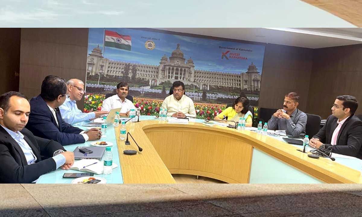 Lithium cell production IBC company willing to invest Rs 8,000 crore