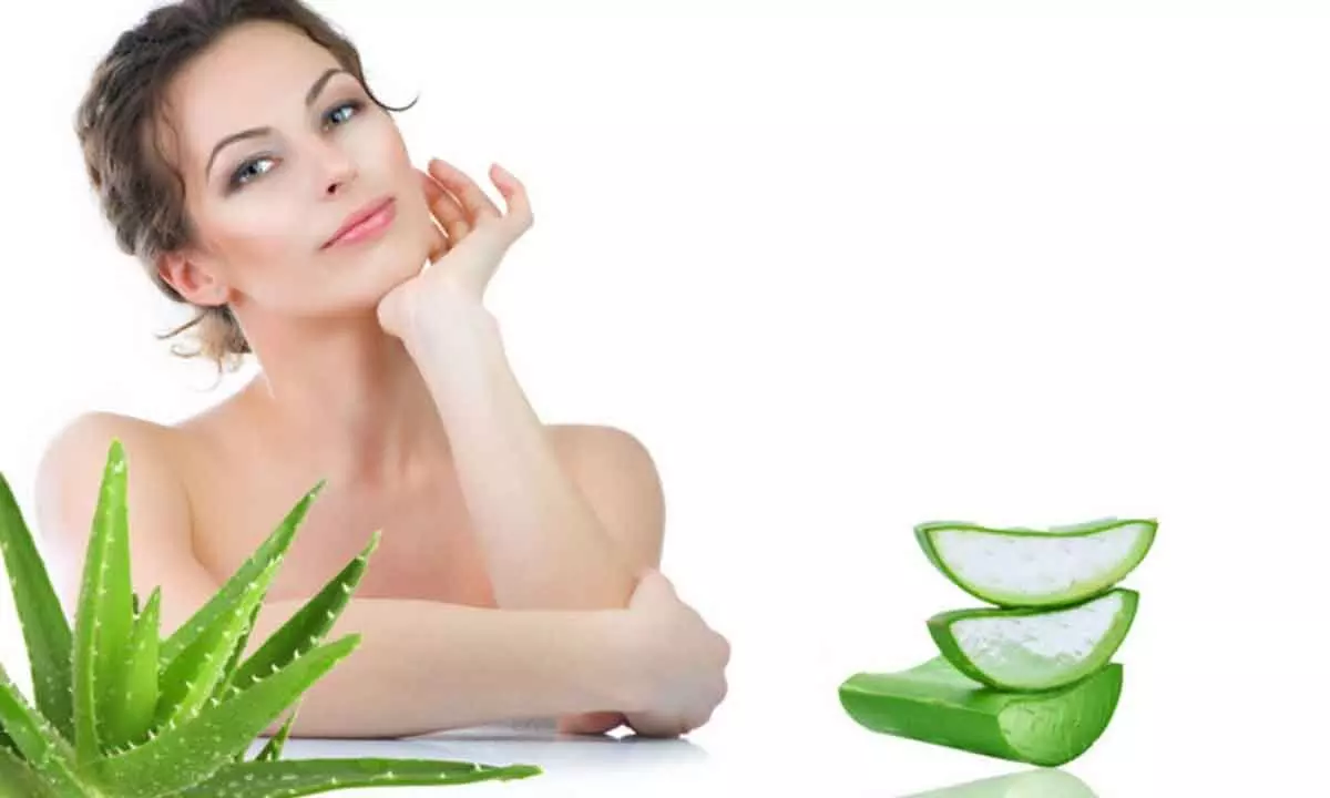 Benefits of aloe vera for your skin