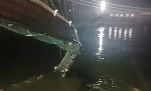 2 key accused in Morbi bridge collapse case move High Court for bail