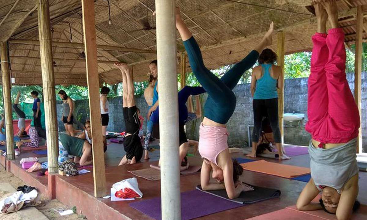 International Yoga Day Find your zen