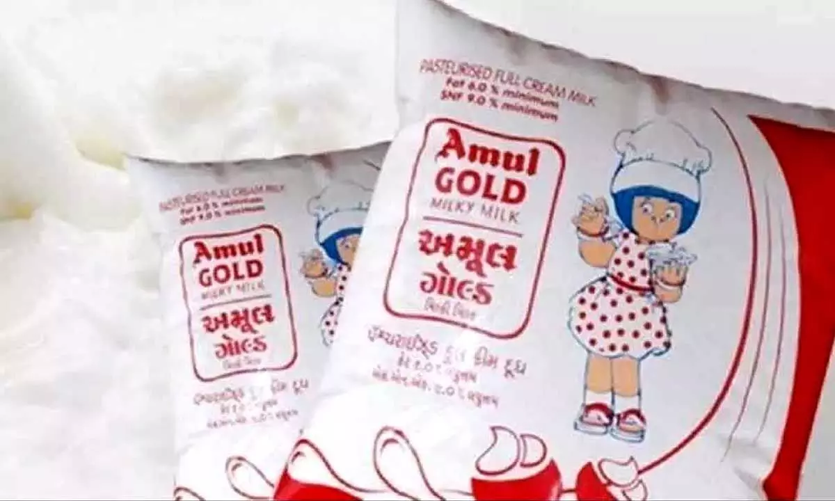 Chittoor Dairy sets merger in Amul Foods