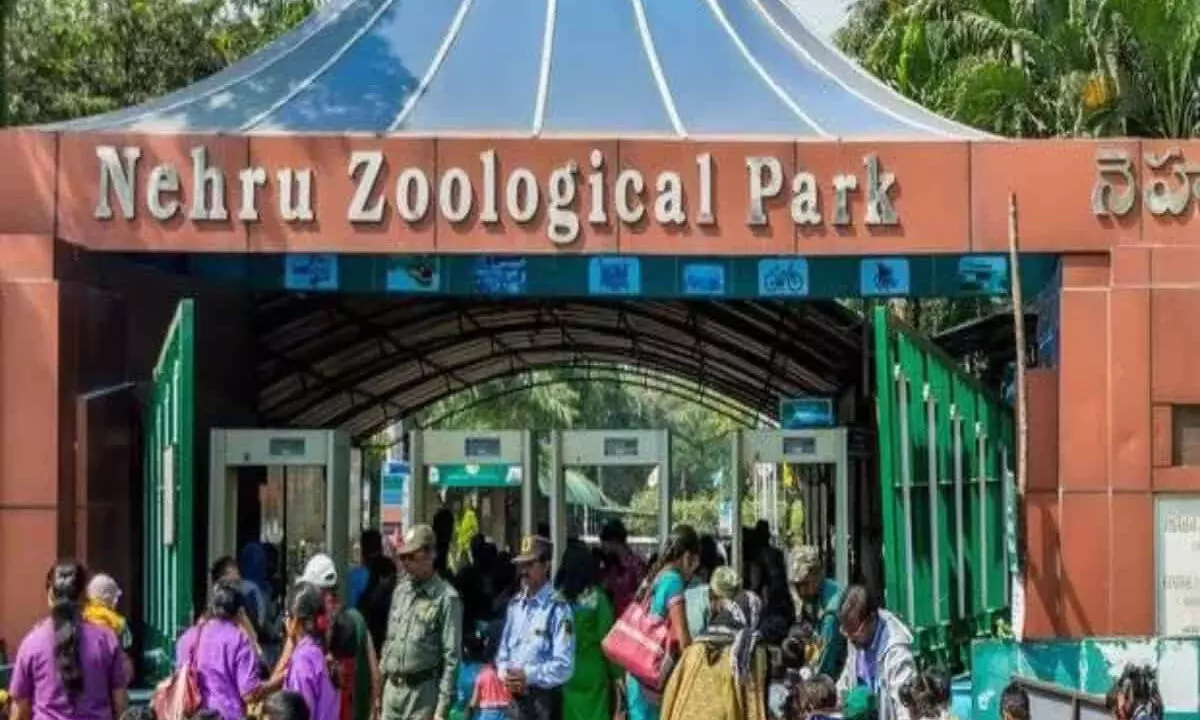 Hyderabad: Zoo celebrates ‘International Yoga Day’ & ‘World Giraffe Day’