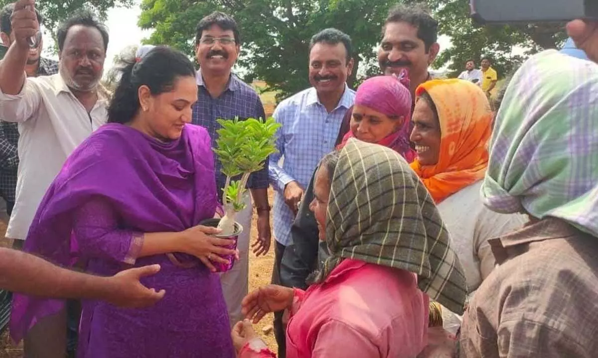 Kurnool Collector Dr G Srijana during a visit to the nursery at Banavasi in Yemmiganur on Wednesday