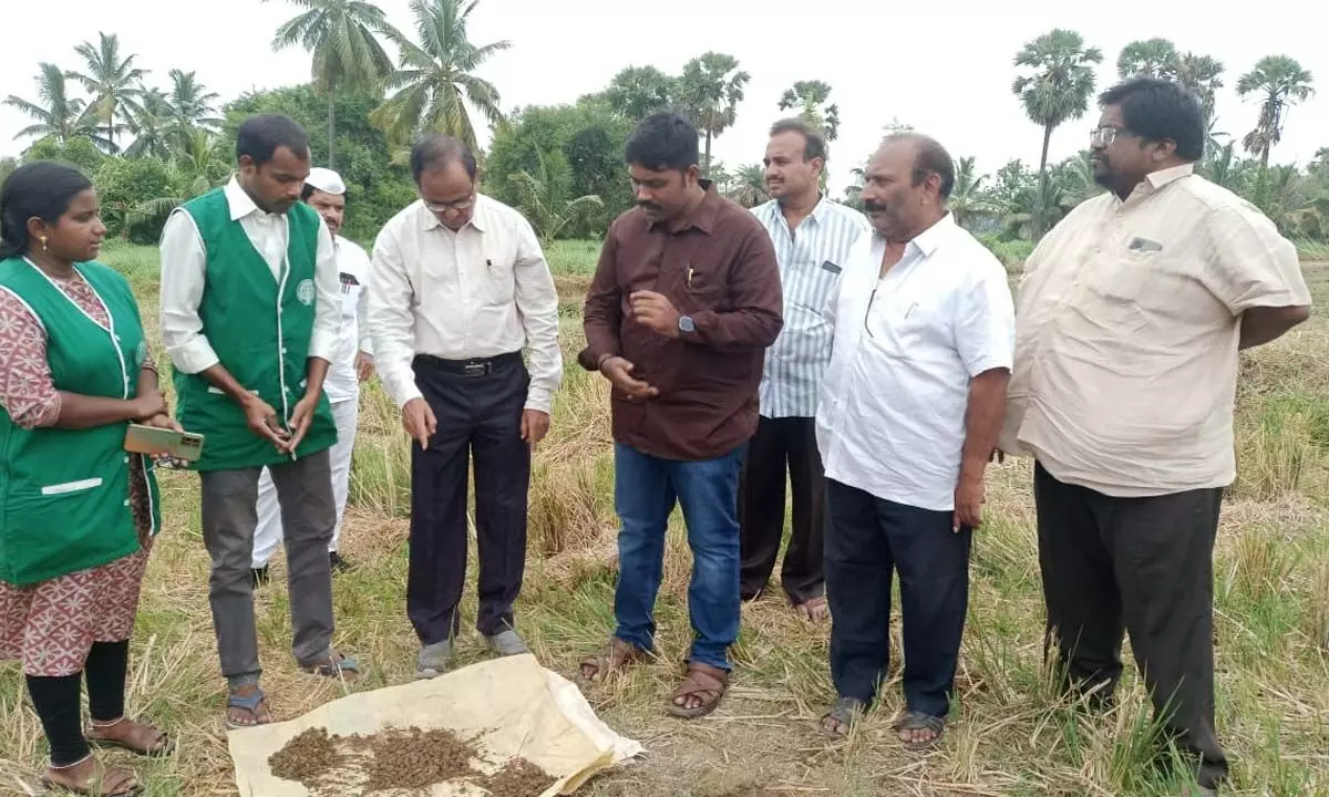 Joint collector Turns Tenant Farmer