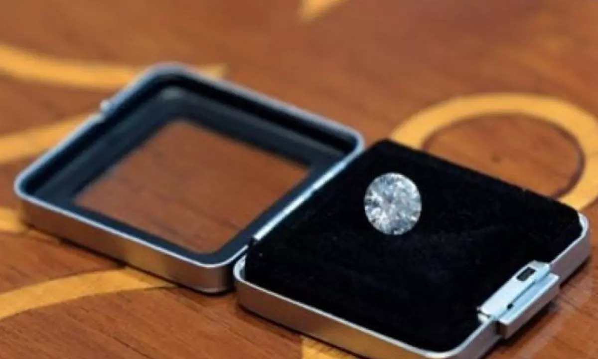 PM Presents Diamond to US First Lady