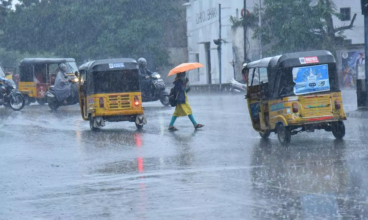 Rain deficiency looms large over TS as monsoon remains sluggish