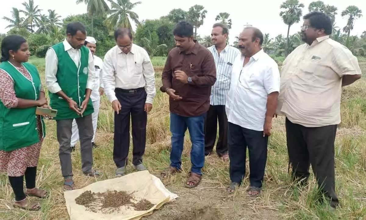 Joint collector N Tej Bharat inspects the soil testing process in the agricultural land of the Rajavolu village in Rajamahendravaram Rural on Thursday.  District agriculture officer Madhava Rao, farmer Udayakiran and others are seen.