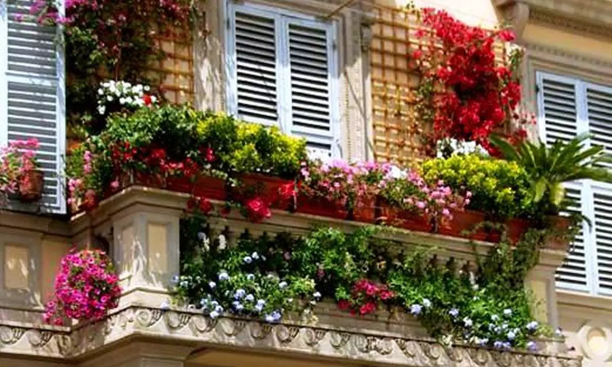 Transform New House Balconies into Enchanting Retreats