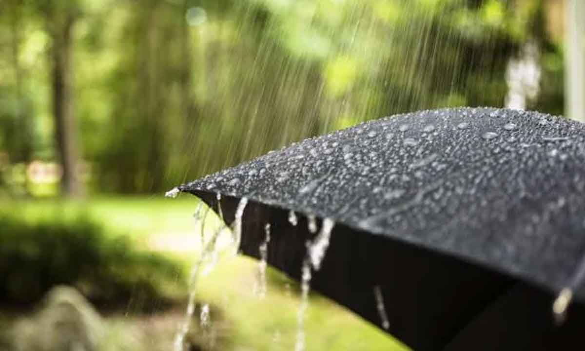 Southwest monsoon gains momentum, heavy rainfall predicted across India